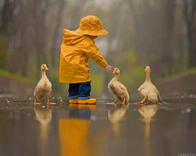 Boy playing with ducks painting by numbers.jpeg
