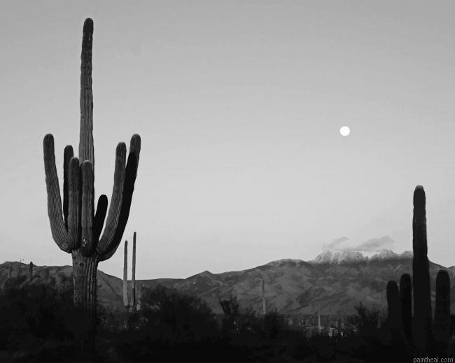 Cactus moon black and white painting by numbers.jpeg