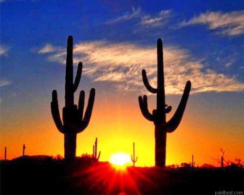 Cactus sunrise painting by numbers.jpeg