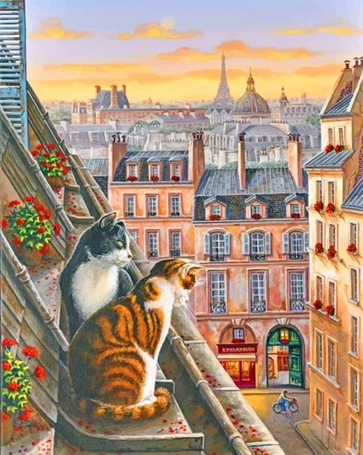 Cats animals painting by numbers.jpeg