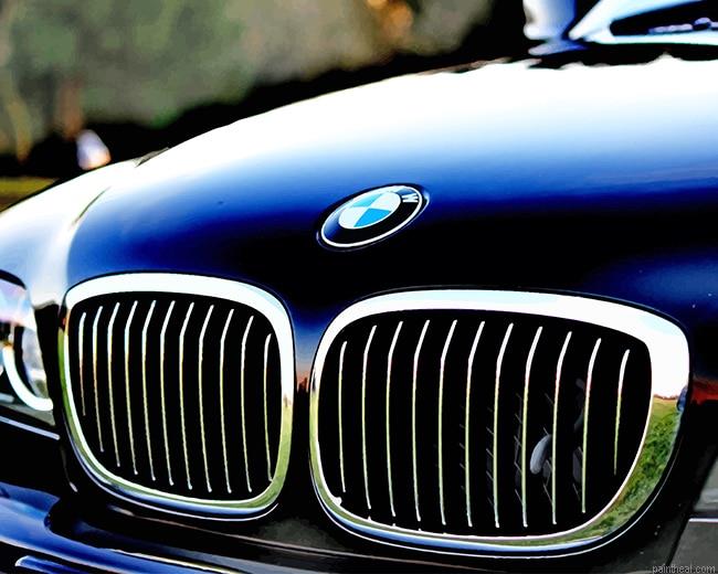 Chrome bmw grille painting by numbers.jpeg