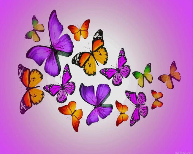 Colorful butterflies painting by numbers.jpeg