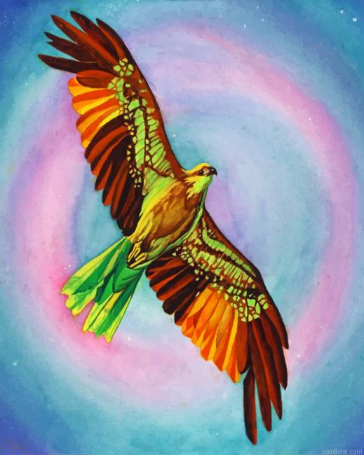 Colorful hawk bird painting by numbers.jpeg