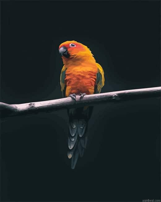 Colorful parrot painting by numbers.jpeg