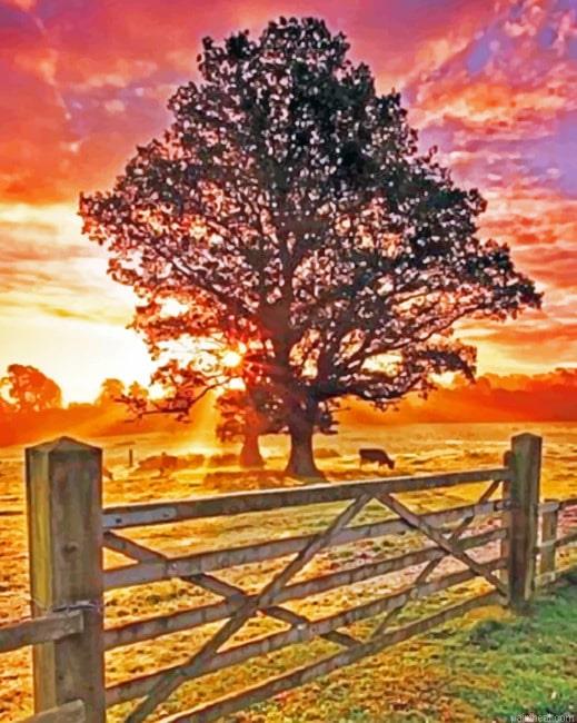 Country sunset new painting by numbers.jpeg