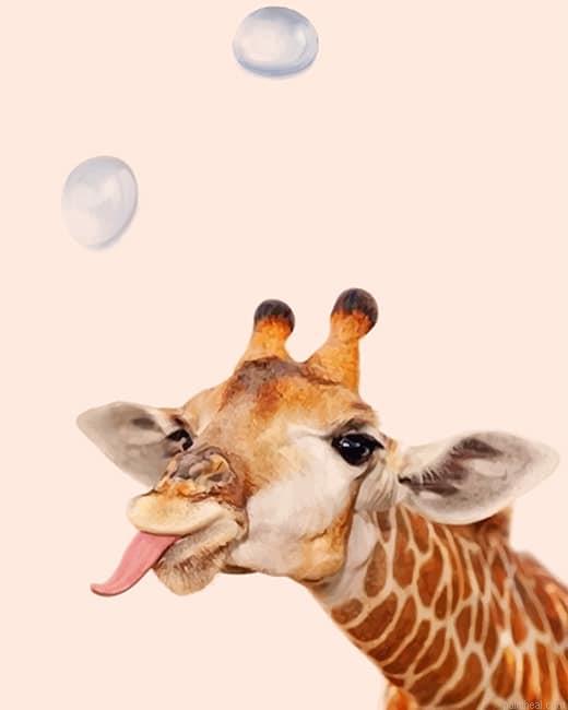 Crazy giraffe art painting by numbers.jpeg