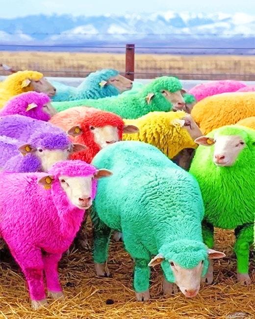 Cute colorful sheeps painting by numbers.jpeg