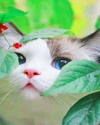 Cute kitty painting by numbers.jpeg