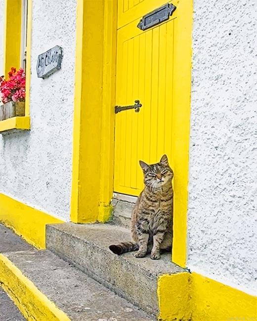 Cute kitty yellow door painting by numbers.jpeg