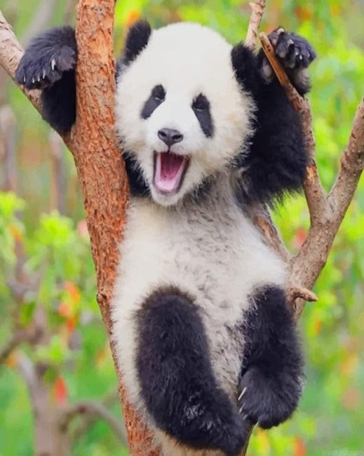 Cute panda new painting by numbers.jpeg