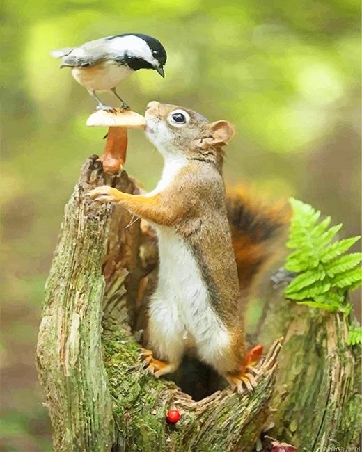 Cute squirrel and bird painting by numbers.jpeg
