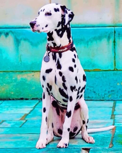 Dalmatian dog new painting by numbers.jpeg