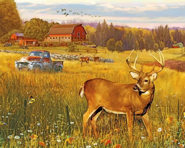 Deer in farm field painting by numbers.jpeg