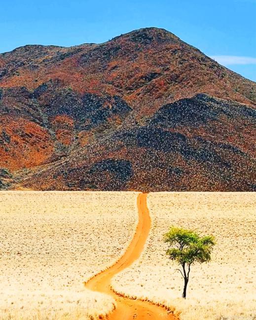 Desert of namibia painting by numbers.jpeg