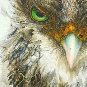 Eagle bird painting by numbers.jpeg