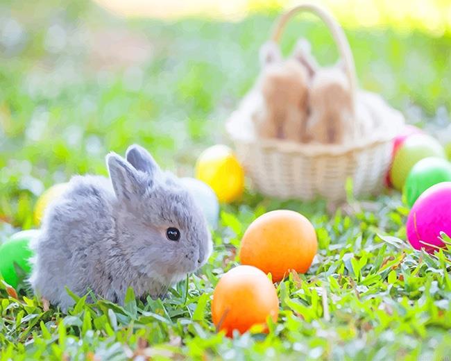 Easter eggs and bunny painting by numbers.jpeg