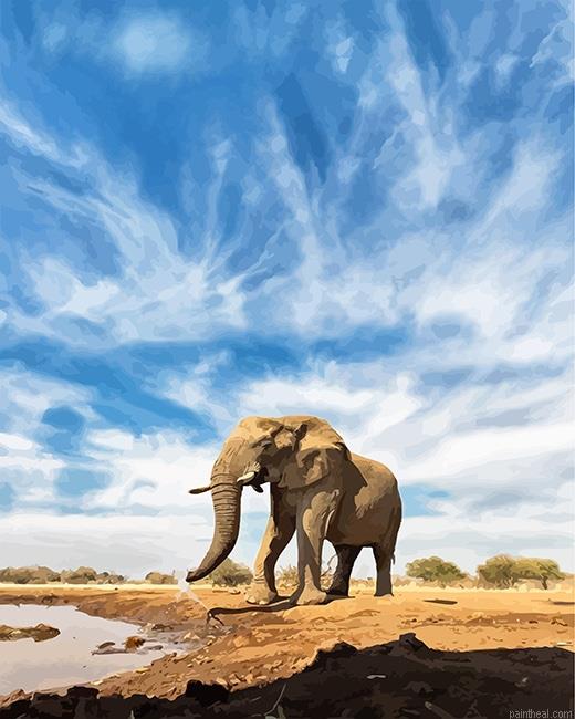 Elephant painting by numbers.jpeg