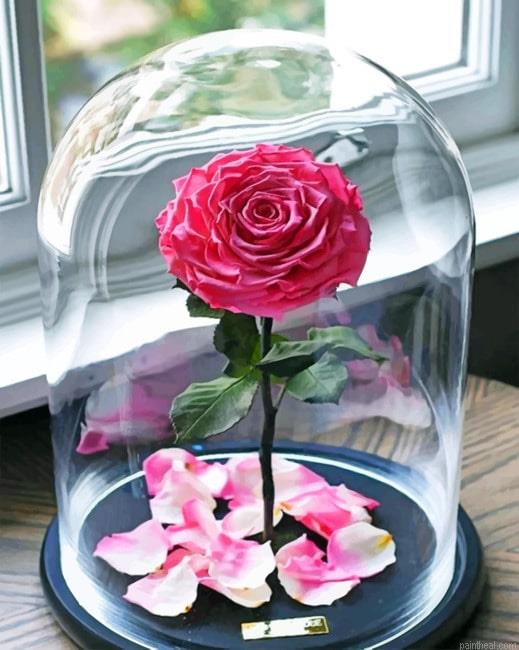 Enchanted rose flowers painting by numbers.jpeg