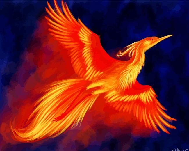 Fawkes bird painting by numbers.jpeg