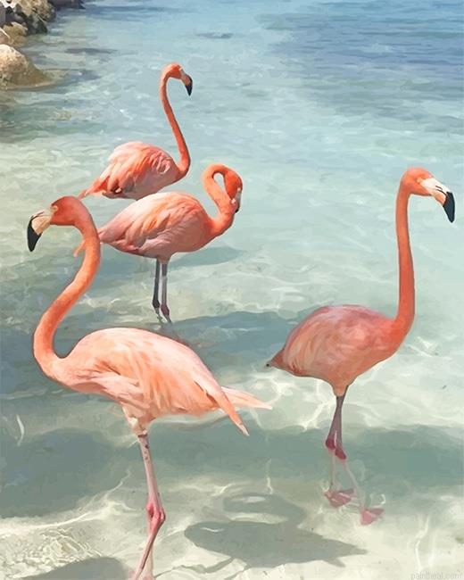Flamingos birds painting by numbers.jpeg