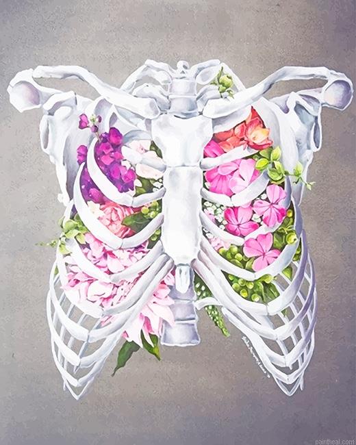Floral anatomy painting by numbers.jpeg