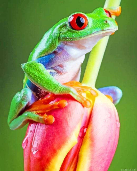 Frog on tulip flower new painting by numbers.jpeg