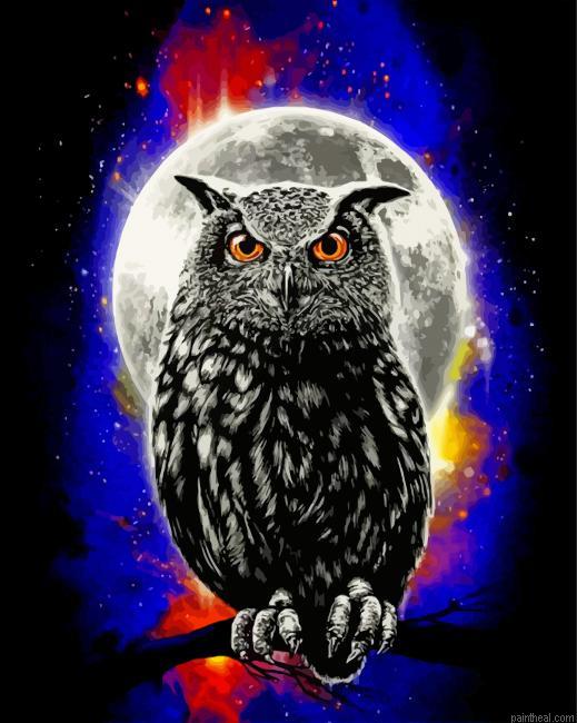 Galaxy owl painting by numbers.jpeg