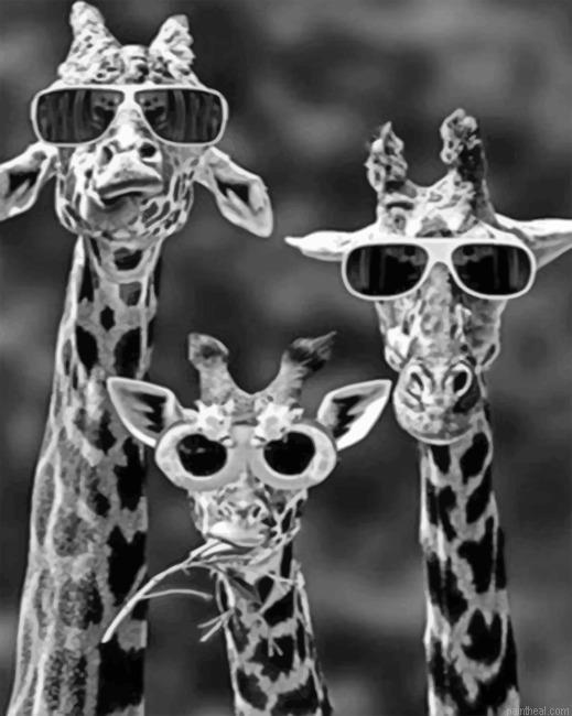 Giraffes with sunglasses painting by numbers.jpeg