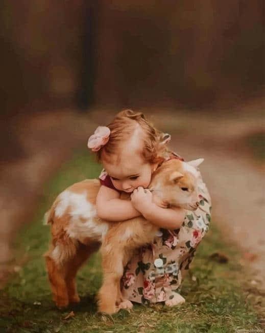 Girl hugging a little goat painting by numbers.jpeg