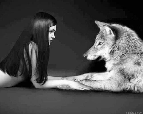 Girl with her wolf best friend painting by numbers.jpeg