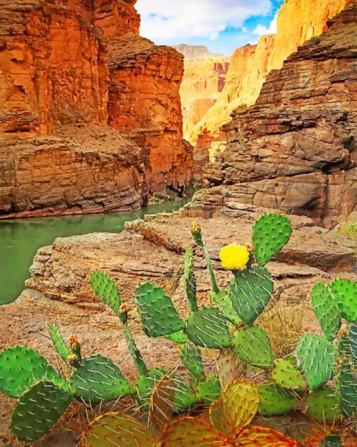 Grand canyon national park cactus painting by numbers.jpeg