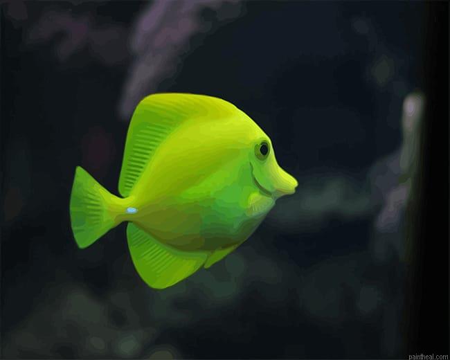 Green fish painting by numbers.jpeg