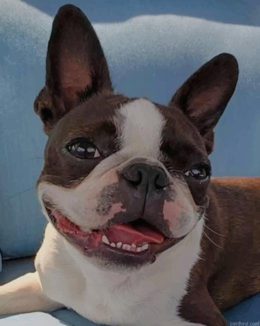 Happy dog new painting by numbers.jpeg