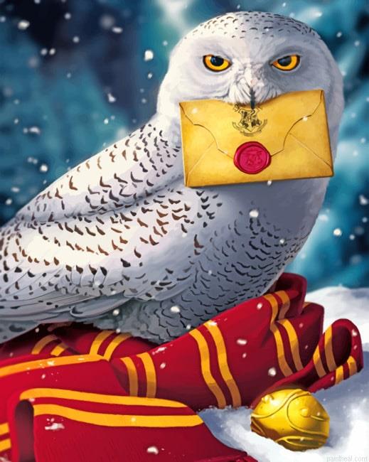 Harry potter hedwig painting by numbers.jpeg