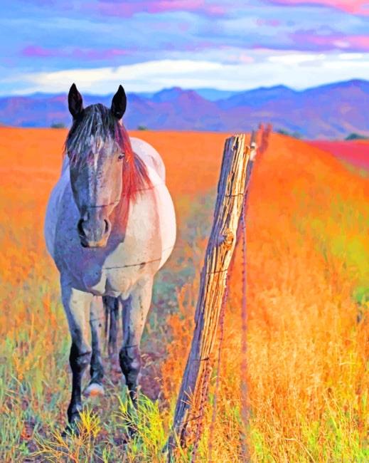 Horse in field new painting by numbers.jpeg
