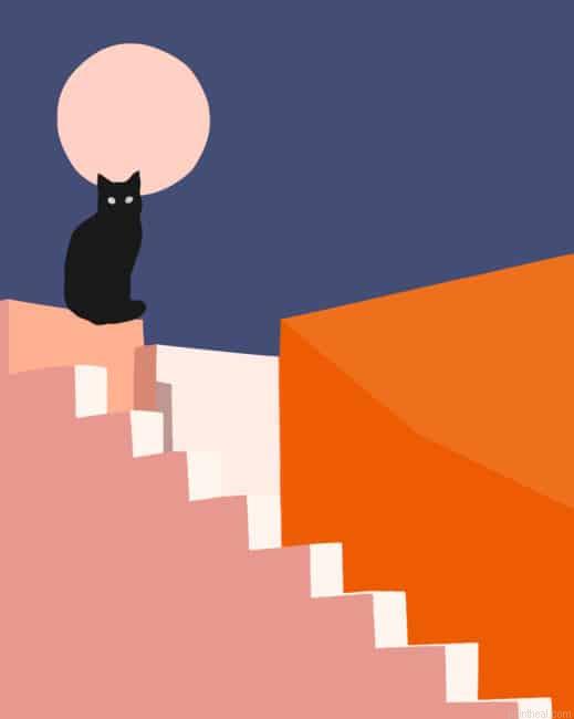 Illustration black cat painting by numbers.jpeg