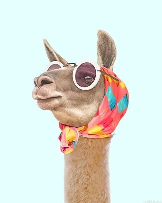 Lama fashion painting by numbers.jpeg