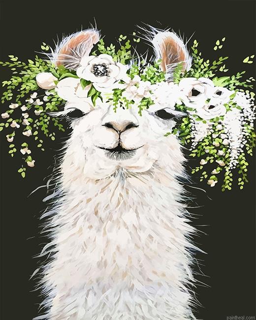 Lama with flowers painting by numbers.jpeg