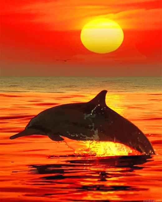 Lonely dolphin sunset painting by numbers.jpeg