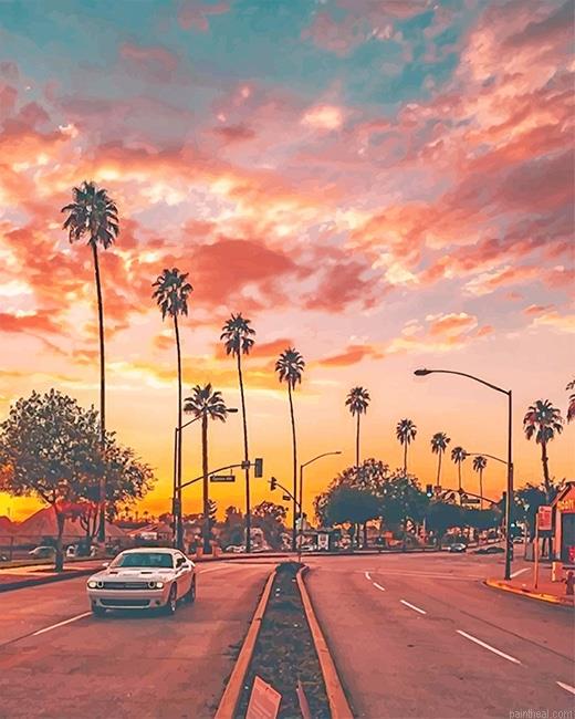 Los angeles palm tree sunset painting by numbers.jpeg