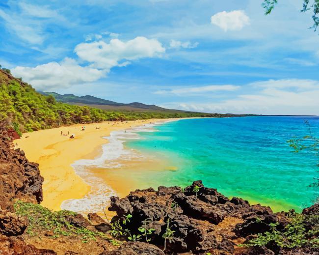 Makena state park hawaii painting by numbers.jpeg