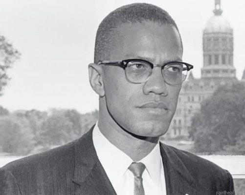 Malcolm x painting by numbers.jpeg