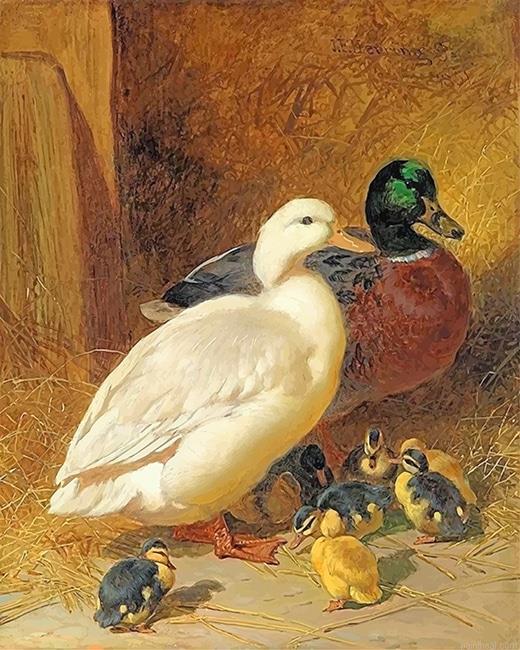 Mallard ducks art painting by numbers.jpeg