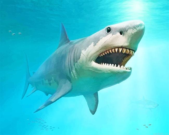 Megalodon shark painting by numbers.jpeg