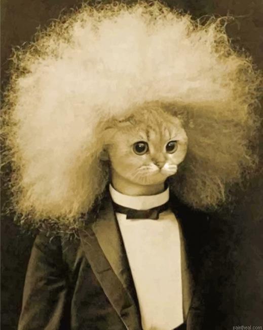 Meow einstein painting by numbers.jpeg