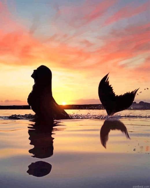 Mermaid swimming silhouette painting by numbers.jpeg