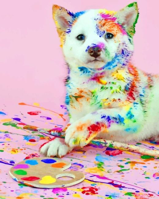 Messy dog with paints new painting by numbers.jpeg