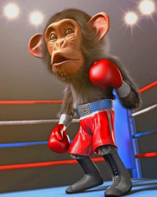 Monkey boxer new painting by numbers.jpeg