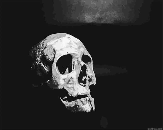 Monochrome skull painting by numbers.jpeg