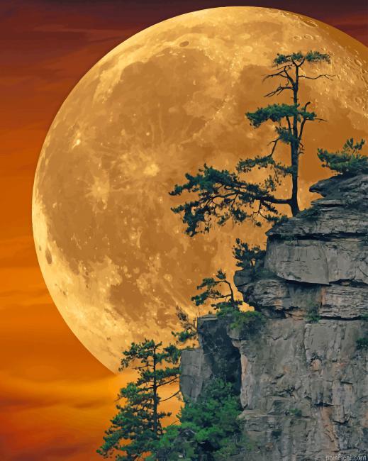 Moon light painting by numbers.jpeg
